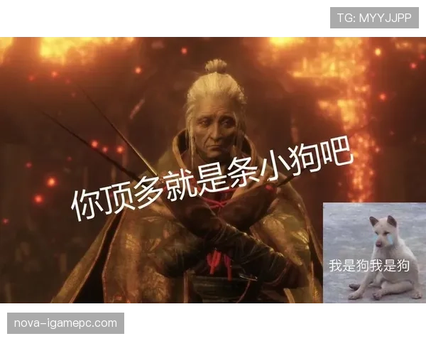 拉皮诺家的狗都比你我活得精致 拉皮诺家的狗都比你我活得精致